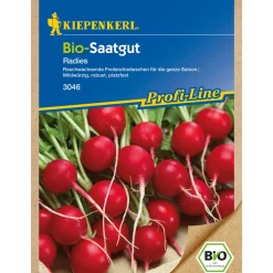 Kiepenkerl Radies rund rot Bio