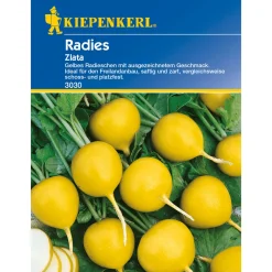 Kiepenkerl Radies Zlata