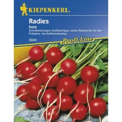Kiepenkerl Radieschen Sora Profi-Line