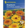 Kiepenkerl Ringelblume Touch of Red Mix Profi-Line