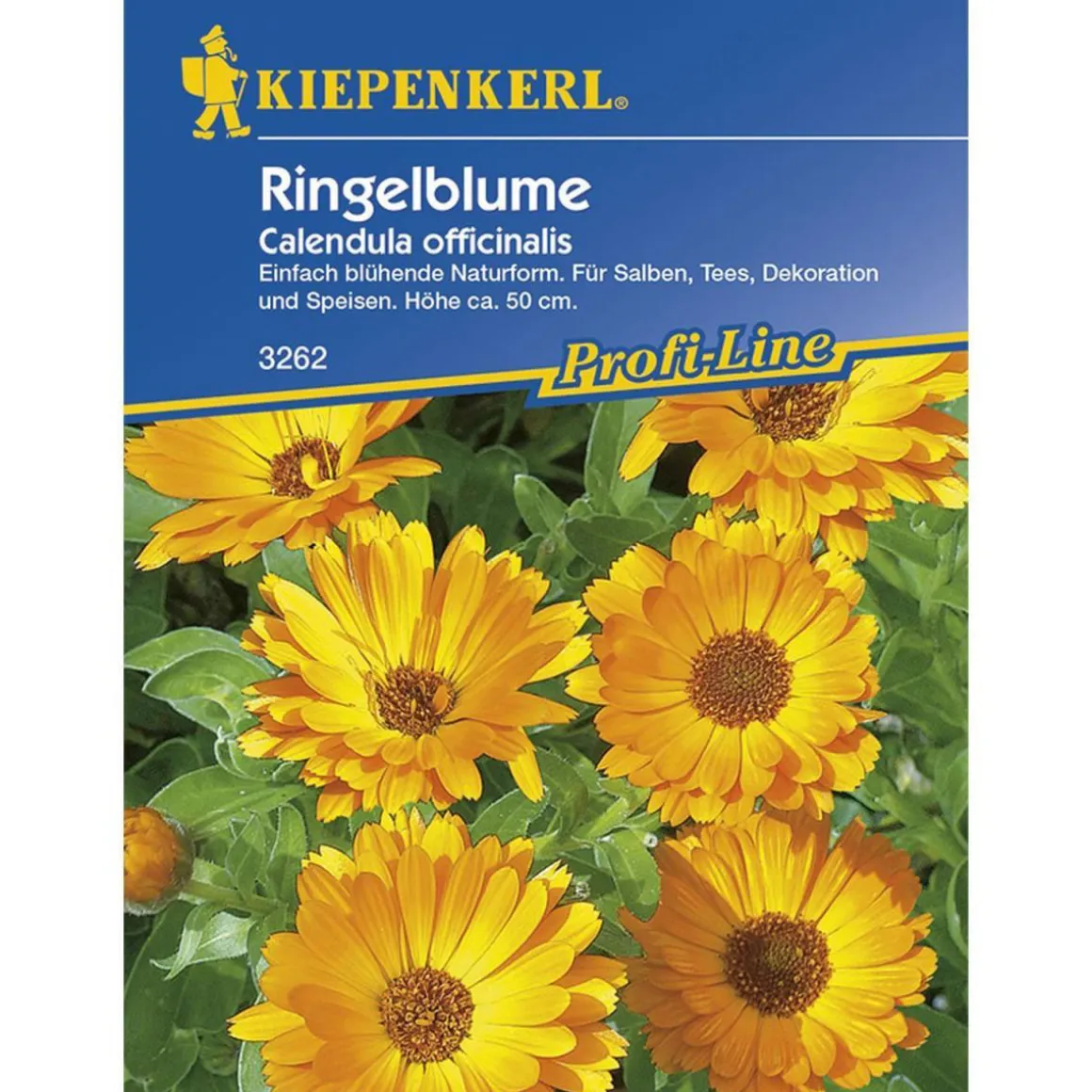 Kiepenkerl Ringelblumen für Tee und Salben Profi-Line