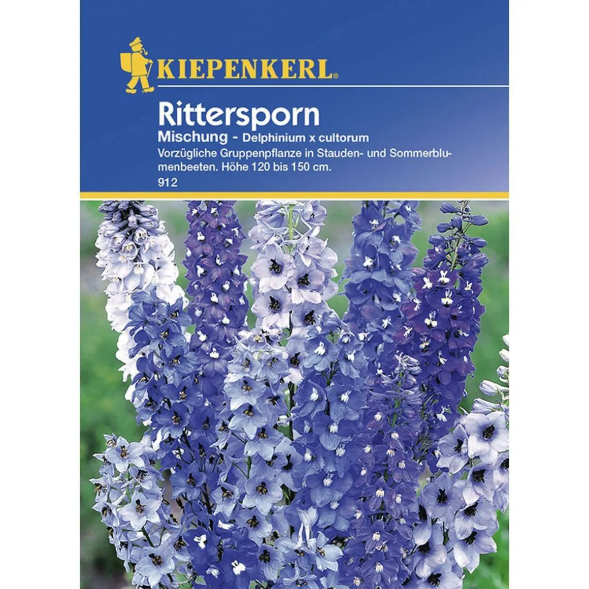 Kiepenkerl Rittersporn mehrjährig Mischung