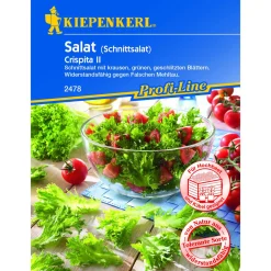 Kiepenkerl Salat Crispita II