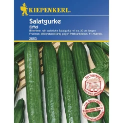 Kiepenkerl Salatgurke Eiffel F1