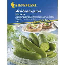 Kiepenkerl Salatgurke Salamanda F1