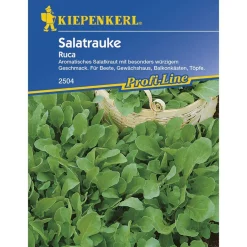 Kiepenkerl Salatrauke Ruca Profi-Line