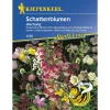 Kiepenkerl Schattenblumen Mischung Profi-Line