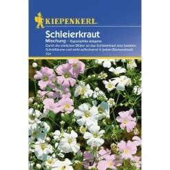 Kiepenkerl Schleierkraut Gypsophila einjährig