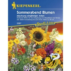 Kiepenkerl Sommerabend Mischung Profi-Line