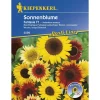 Kiepenkerl Sonnenblume Fantasia Mix Profi-Line
