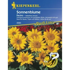 Kiepenkerl Sonnenblume Pacino Profi-Line