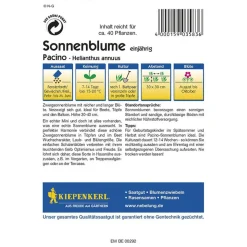 Kiepenkerl Sonnenblume Pacino Profi-Line