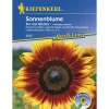 Kiepenkerl Sonnenblume Pro Cut Bicolor F1