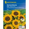 Kiepenkerl Sonnenblume Sonja