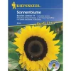Kiepenkerl Sonnenblume Sunrich Lemon F1