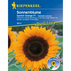 Kiepenkerl Sonnenblume Sunrich Orange