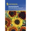 Kiepenkerl Sonnenblumen Helianthus kleinblumige