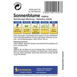 Kiepenkerl Sonnenblumen Helianthus kleinblumige