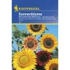 Kiepenkerl Sonnenblumen Helianthus riesenblütig