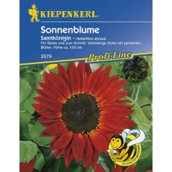 Kiepenkerl Sonnenblumen Samtkönigin Profi-Line