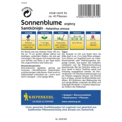Kiepenkerl Sonnenblumen Samtkönigin Profi-Line