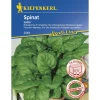 Kiepenkerl Spinat Lazio F1 Profi-Line