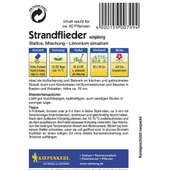 Kiepenkerl Statice Mischung