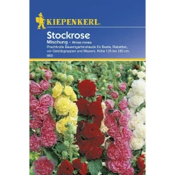 Kiepenkerl Stockrosen Mischung