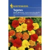 Kiepenkerl Tagetes Bonita-Mischung