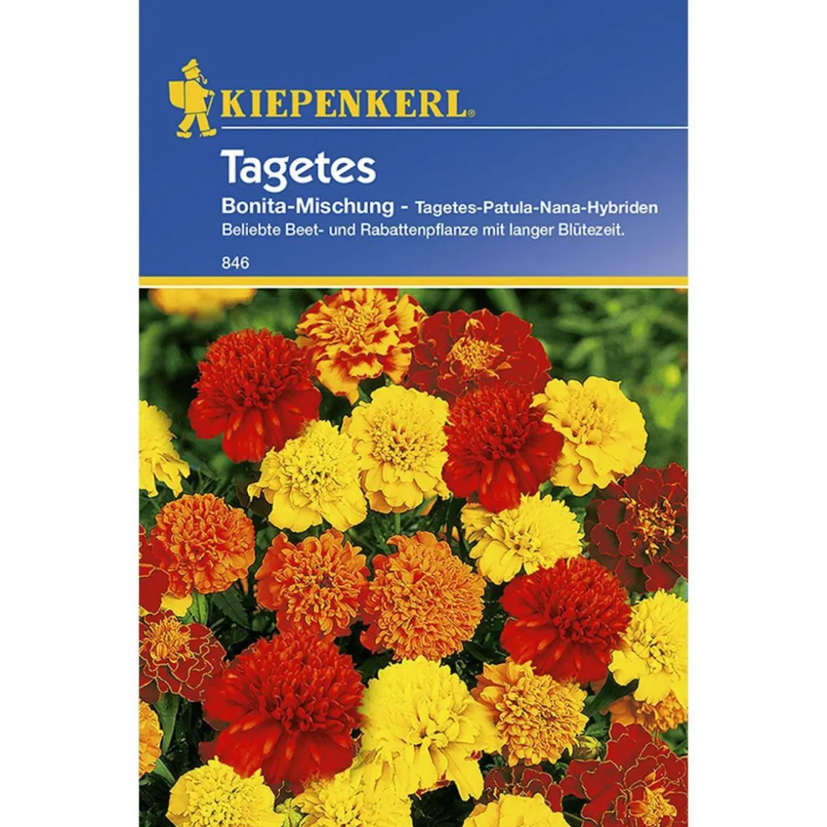 Kiepenkerl Tagetes Bonita-Mischung