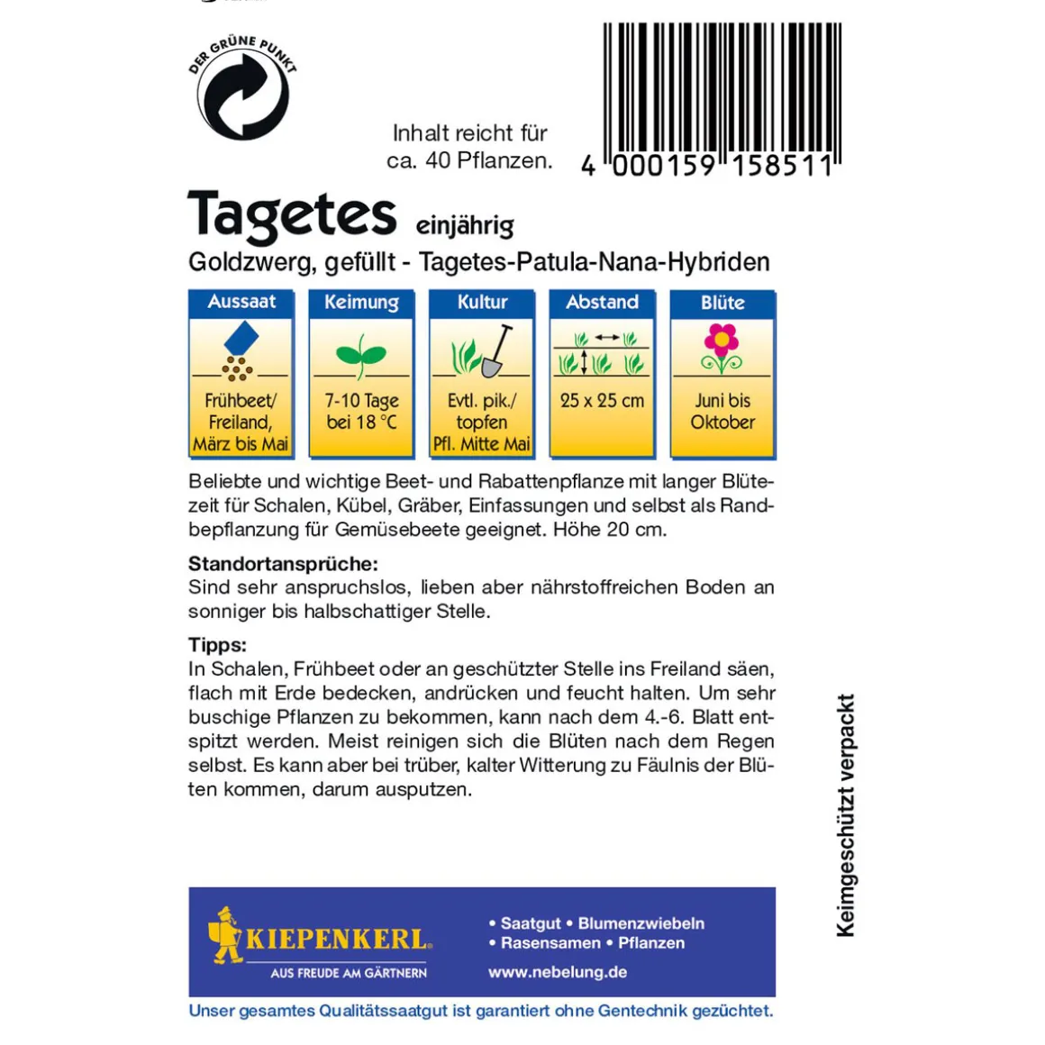 Kiepenkerl Tagetes Goldzwerg