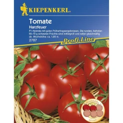 Kiepenkerl Tomaten Harzfeuer F1 Profi-Line