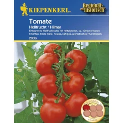 Kiepenkerl Tomaten Hilmar Profi-Line