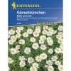 Kiepenkerl Wiesen-Gänseblümchen Profi-Line