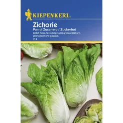 Kiepenkerl Zichoriensalat Pan di Zucchero