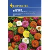 Kiepenkerl Zinnien kleinblumige Mischung