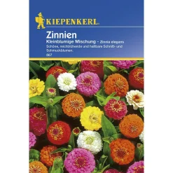 Kiepenkerl Zinnien kleinblumige Mischung