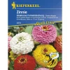 Kiepenkerl Zinnien Oklahoma-Formelmix Profi-Line