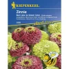 Kiepenkerl Zinnien Red Lime und Green Lime