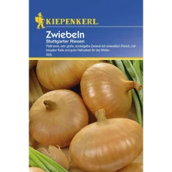 Kiepenkerl Zwiebeln Stuttgarter Riesen
