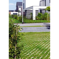 Lusit Rasengitterstein 60 x 40 x 8 cm grau