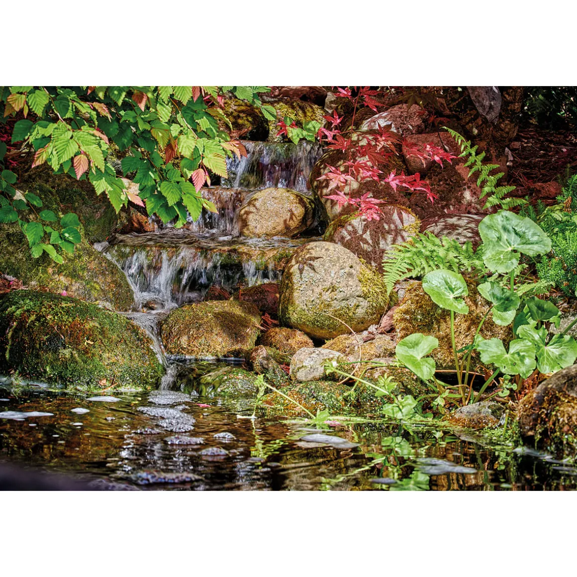 Oase Pontec PondoMax Eco 8500 C