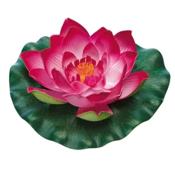 Oase PontecPondo Lily rot