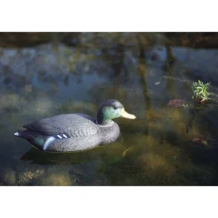 Oase Teichfigur Stockente Erpel