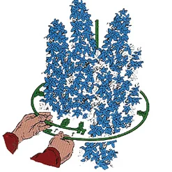 Pflanzenstütze verstellbar 35 - 50 cm