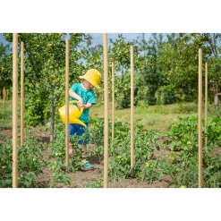 Pflanzstab gespitzt Robinie 25x25x1500mm