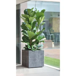 Pflanztopf Millennium anthrazit 39 x 39 x 39 cm