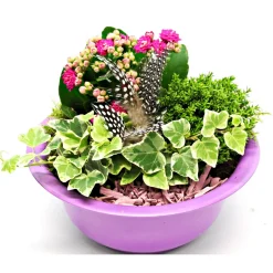 Plantiflor Bepflanzte Gefäße mit Oster-Deko