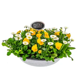 Plantiflor Bepflanzte Zinkschale mit Oster-Deko