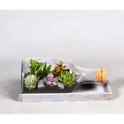 Plantiflor Green Bottle Flasche liegend mit Succulenten 38 cm lang